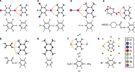 Depictions Of The X Ray Crystal Structures And Molecular Structures