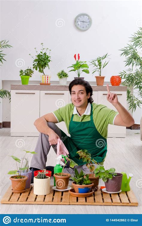 O Jardineiro Masculino Novo Plantas Dentro Foto De Stock Imagem