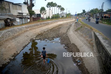 Mencari Ikan Di Saluran Irigasi Yang Mengering Republika Online