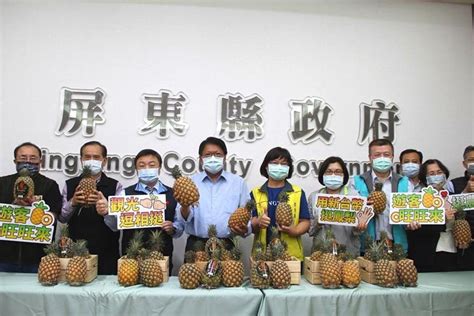 屏東觀光業站出來逗相挺 用新台幣挺鳳梨農 綜合 工商時報