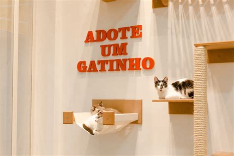 Liberty Mall Lan A Campanha Parceiros Para Ado O De Gatos Estilozzo