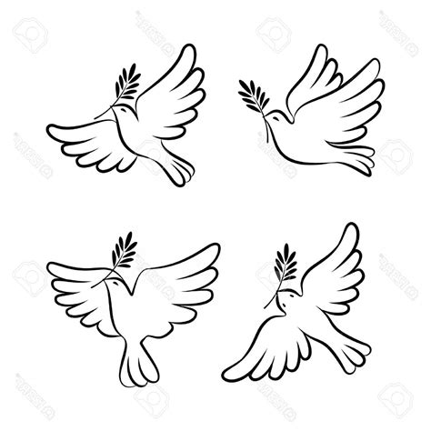 Dove With Olive Branch Vector at Vectorified.com | Collection of Dove ...