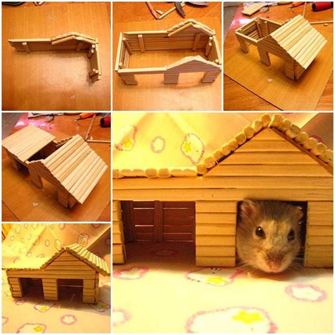 Diy Hamster House With Chopsticks Diy Hamster House Hamster House