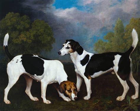 Art Prints Of Couple Of Foxhounds In A Landscape By George Stubbs