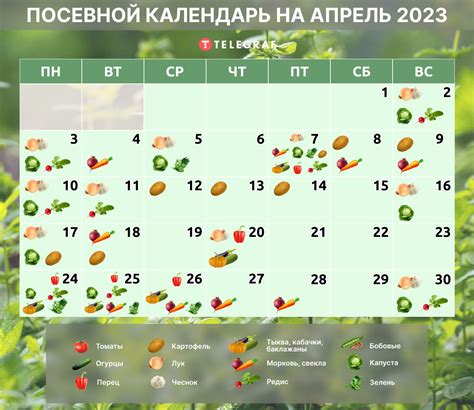 Посевной календарь на апрель 2023 — что и когда сажать во второй месяц