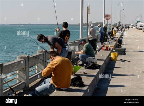 Fishing At Skyway Fishing Pier State Park At Sunshine Skyway Bridge In