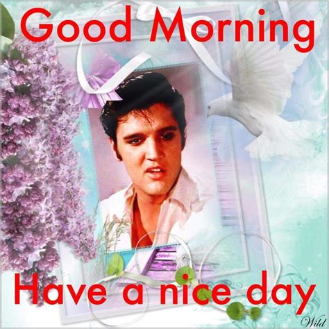 Good Day Good Morning Elvis Baseball Cards Best Movie Posters