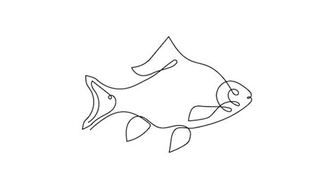 Premium Vector Abstract Fish In Continuous Line Art Drawing