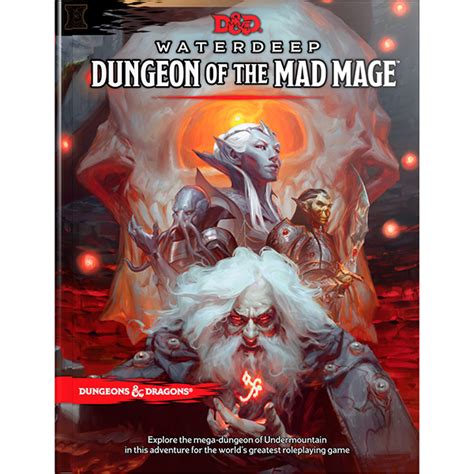 Dungeon Of The Mad Mage — The Village Geek