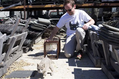 Alley Cat Rescue Saves Cats In Industrial Park Alley Cat Rescue