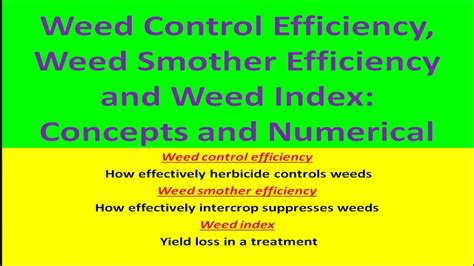 Weed Control Efficiency Weed Smother Efficiency And Weed Index