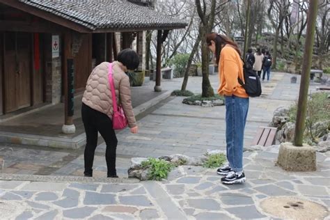 低薪“知性女性 巾帼风采” 市一中庆“三八”活动剪影 绝美邂逅樱花雨梦幻宁波