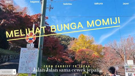 Ngedate Sama Cewek Jepang Melihat Bunga Momiji Youtube