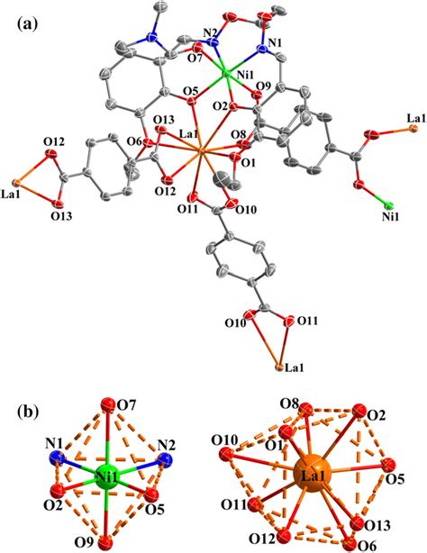 A Projection Of A Fragment Showing The Binding Modes Of The Bdc