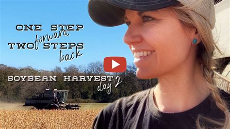 This Farm Wife Meredith Bernard Take Two Day Two Soybean Harvest