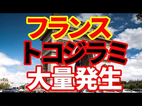 【フランス】フランス公共交通機関でトコジラミ大量発生！衛生面とは関係ないbyフランス衛生省 【世界経済情報】モハpチャンネル