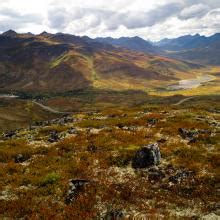 Hiking and skiing trails near Tombstone Territorial Park | Yukon Hiking