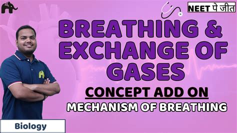 Breathing And Exchange Of Gases Class Neet Mechanism Of Breathing