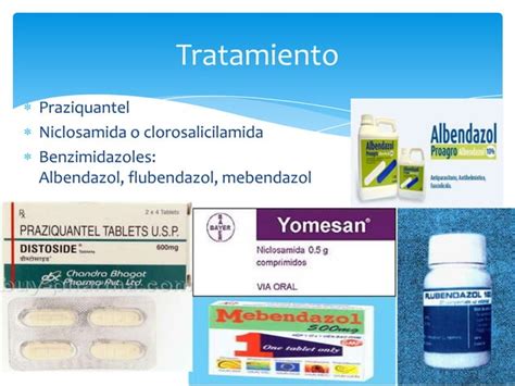 Teniasis Por Taenia Solium Y Taenia Saginata Ppt