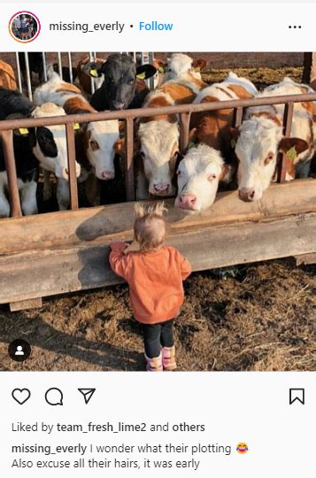 250 Best Farm Captions And Quotes For Instagram [2024] Starter Story