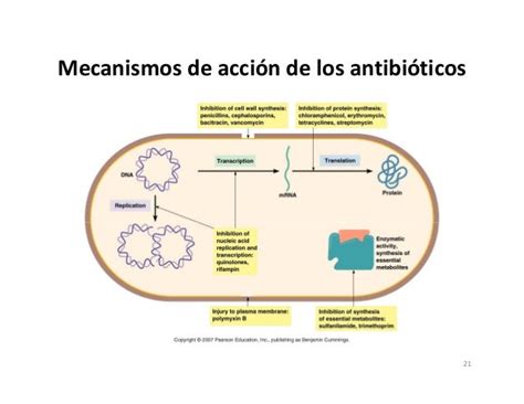 Generalidades De Antibióticos