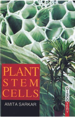 Plant Stem Cells | Discovery Publishing