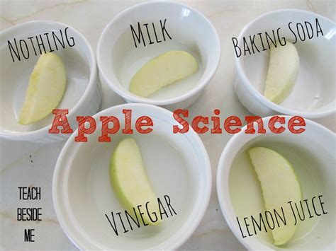 Apple Science Experiments And Hands On Activities Homeschool Giveaways