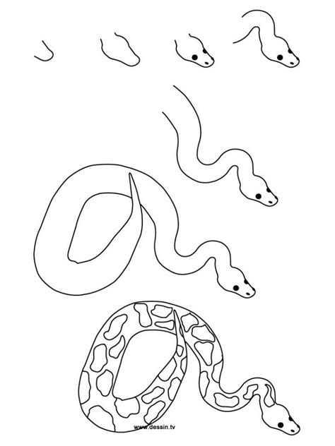 Snake Outline Drawing at PaintingValley.com | Explore collection of ...