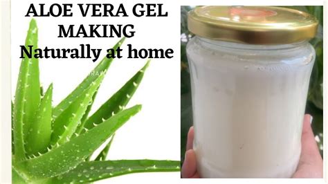 How To Make Aloevera Gel Naturally एलोवेरा जेल कैसे बनाया जाता है Frommysight