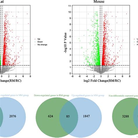 Volcano Plots And Venn Diagrams Of Degs A Identification Of Degs