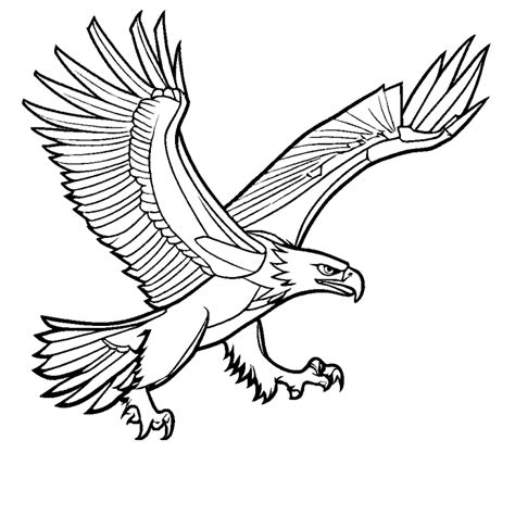 Outline Of Eagle In Flight Coloring Page Lulu Pages