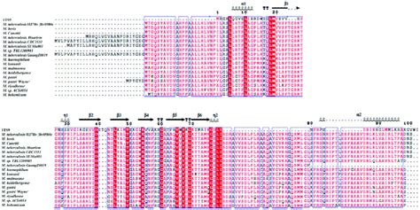 Rv0580c Is Conserved In Pathogenic Mycobacteria Highly Conserved