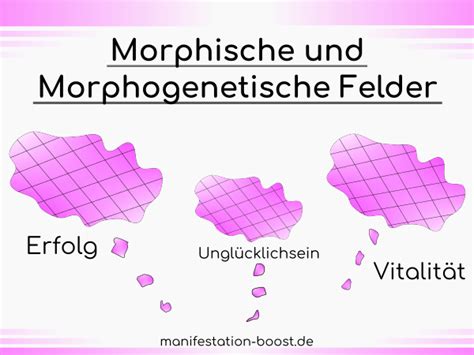 Wie Komme Ich Ins Morphische Feld Einklinken