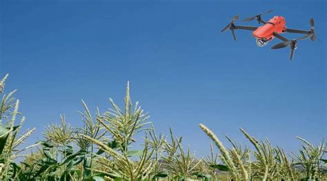 The Pros And Cons Of Agricultural Drones In Agriculture | Autelpilot