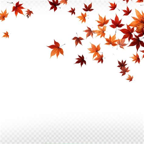 Premium PSD Dry Autumn Leaf Composition Isolated Background