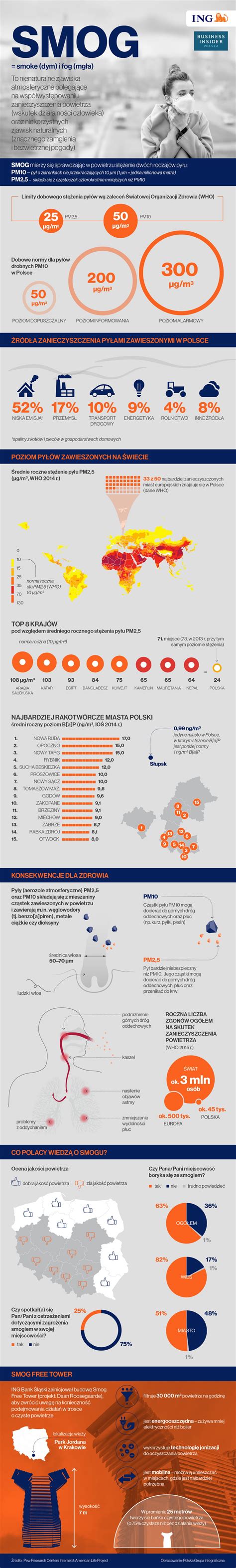 Smog Czym Jest I Jak Szkodzi