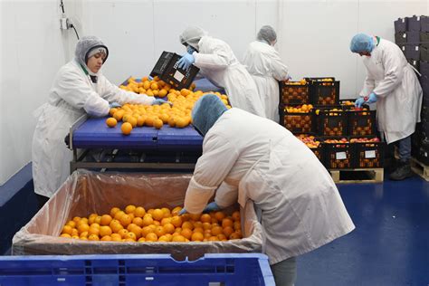 De Laide Pour Les Entreprises De Transformation Alimentaire La Presse