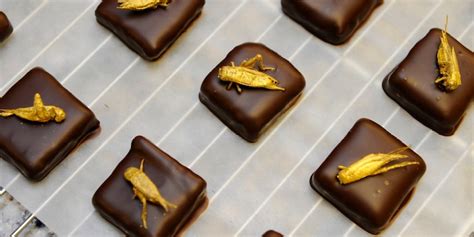 Edible insects: Startups are selling bugs as food | Fortune