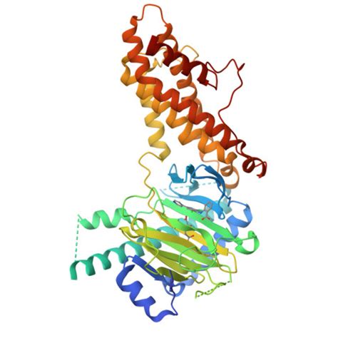 RCSB PDB 7WCV Co Crystal Structure Of FTO Bound To 6e