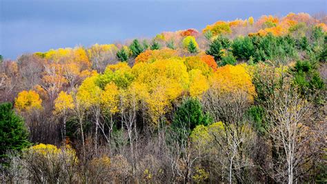 Best Vermont Fall Foliage Drives