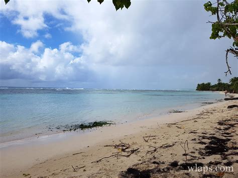 Visiter La Guadeloupe En D Cembre M T O Photos Et Mes Conseils