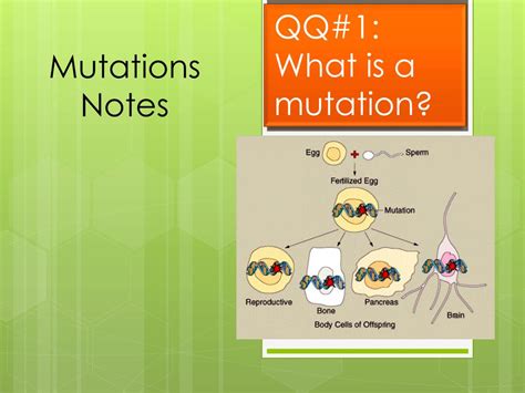 Ppt Mutations Notes Powerpoint Presentation Free Download Id1888795