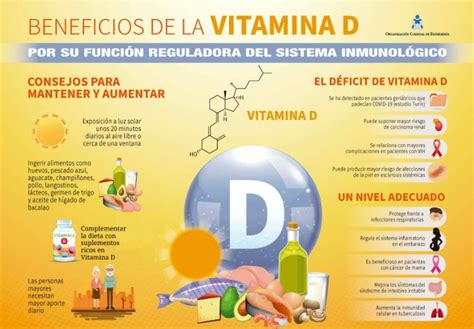 De Que Se Encarga La Vitamina D