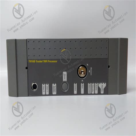 ICS Triplex T8480C Digital Input Module