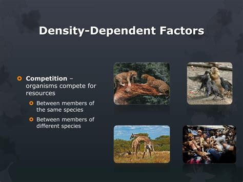 Ppt Population Limiting Factors Powerpoint Presentation Free