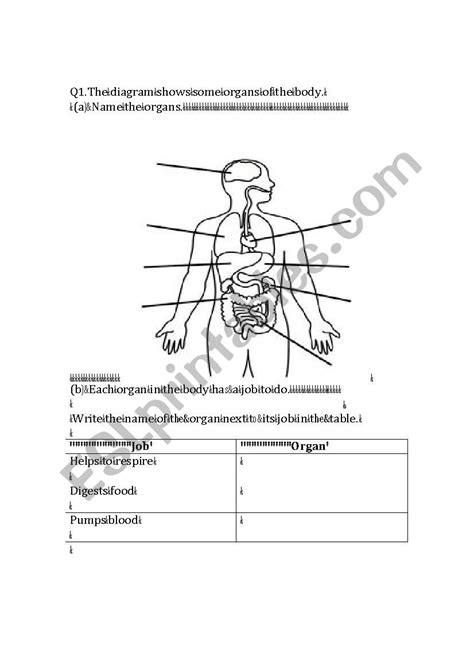 Digestive System Reading Worksheet