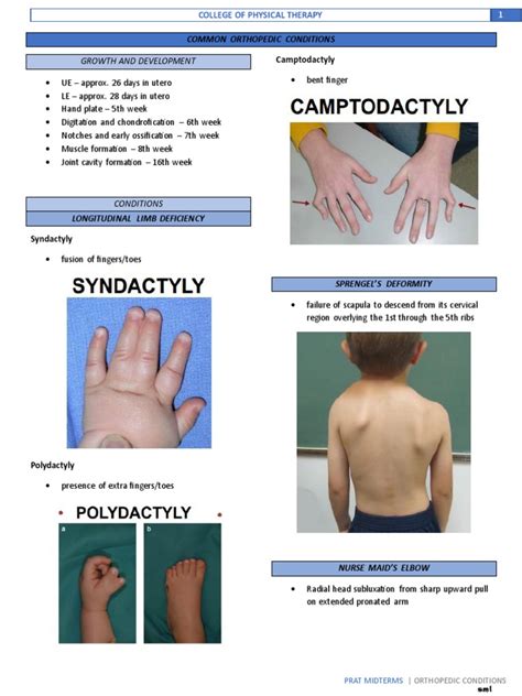 Orthopedic Conditions | PDF