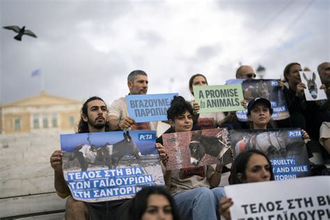 Activists Protest Treatment Of Santorini Donkeys Ekathimerini