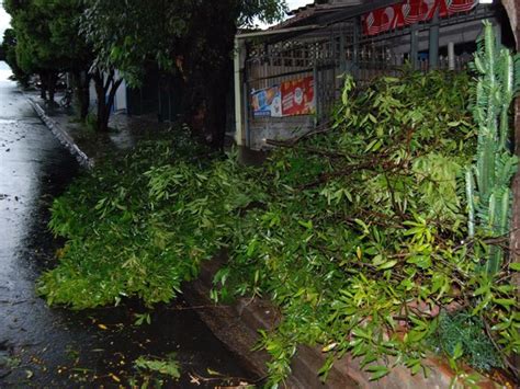 G1 Chuva Forte Destelha Casas Derruba árvores E Alaga Vias De Matão