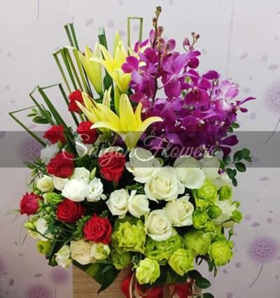 Tet Flowers 20 Out Stock - Flowers